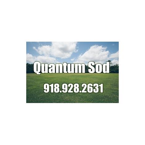Quantum Sod
