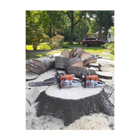 Swell Emergency Tree Removal Service