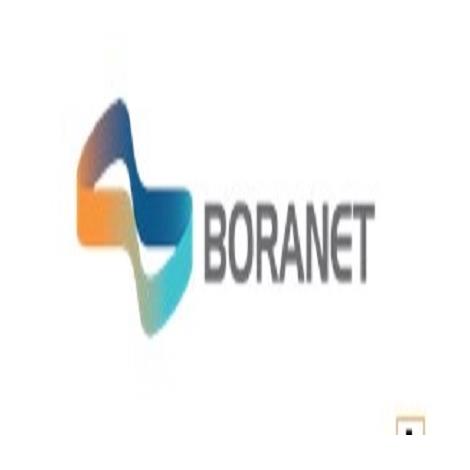 Boranet