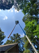 Prime Tree Service