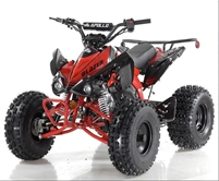  Affordable Atv