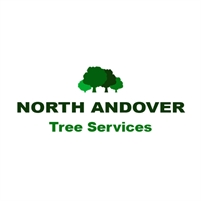 Tree Service North Andover MA Henry Testa