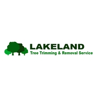 Lakeland Tree Trimming & Removal Service Tree Removal 